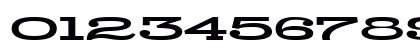 CK Zenship Regular Numeric Preview