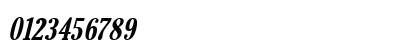 IdsTamil_TG_6_ Bold_Italic Numeric Preview