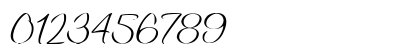 Confidential Document Regular Numeric Preview