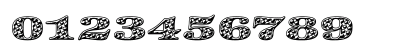Zapf Int'l 'BubbleWrap' Heavy Numeric Preview