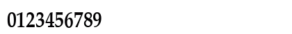 LatinoPalCond5 DemiSH Numeric Preview