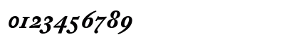 DTLFleischmannST ItalicBold Numeric Preview