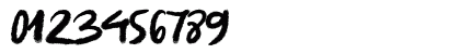 QuinquennialHK Regular Preview