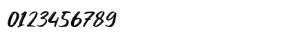 Toast and Honey Italic Preview