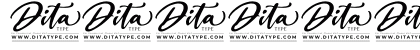Silent Brush Regular Numeric Preview