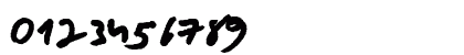 ANS sven Regular Preview