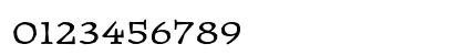 Journal Ultra Numeric Preview
