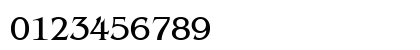 00309 Regular Preview