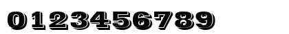 00590 Regular Preview