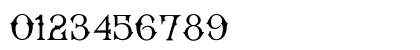 Bradford Regular Numeric Preview