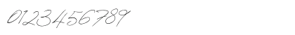 pamsetto Regular Numeric Preview