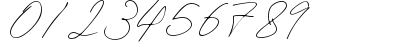 Ranu Pane Demo Regular Numeric Preview