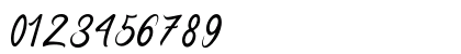 Handmade Calligraphy Regular Numeric Preview