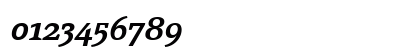 PageSerif-DemiBoldItalic Regular Numeric Preview