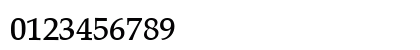 Palatino LT Light Bold Numeric Preview