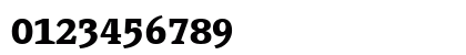 PageSerifTF-Bold Regular Numeric Preview