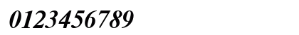 NewtonC Bold Italic Numeric Preview