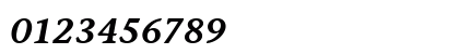 StoneInformal LT Bold Italic Numeric Preview
