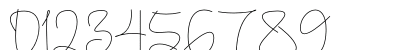 Sameday Regular Numeric Preview