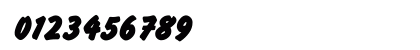 FlashRomanBold_DG Regular Numeric Preview