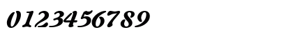 PaletteBlackSSK Italic Numeric Preview