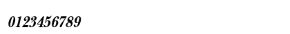 PSL-Irene Bold Italic Numeric Preview