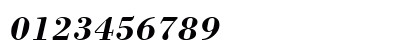 VPS Con Son Hoa Bold Italic Numeric Preview
