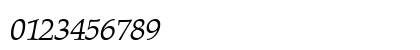 PalmerWerk Italic Numeric Preview
