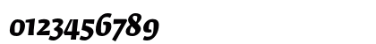 FedraSerifA BoldItalic Numeric Preview