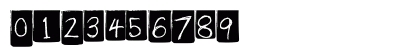 Paf Header Regular Numeric Preview