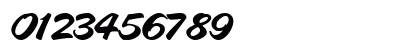 PanareaScriptSSK Bold Numeric Preview