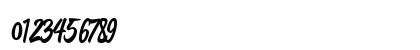 Paradise Script Regular Numeric Preview