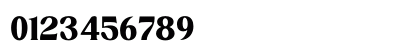 Dishcek Regular Numeric Preview