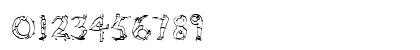 Rad Regular Preview