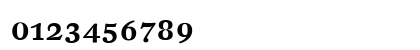 DTLFleischmannT Medium Preview