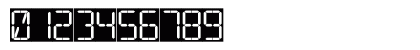 16 Segments Regular Numeric Preview