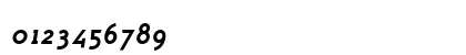 Polymer Bold Italic Numeric Preview