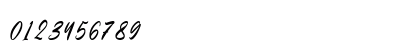 Endeline Script Regular Numeric Preview