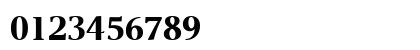 AIVeritas Black Numeric Preview