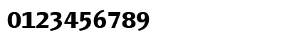 PageSansTF-Bold Regular Numeric Preview