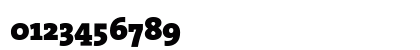 TheSerif Black Numeric Preview