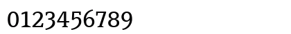 PageSerifTF- Regular Numeric Preview