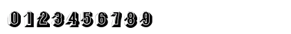 ParapaDisplayCapsSSK Regular Numeric Preview
