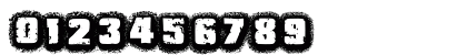 JMH Belicosa Regular Numeric Preview