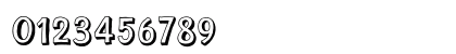 Whatdo Regular Numeric Preview