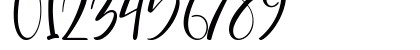 Captain David Portland DEMO Regular Numeric Preview