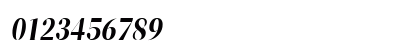 ZT Neue Ralewe Bold Italic Numeric Preview