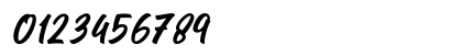 Seact Clean Regular Numeric Preview