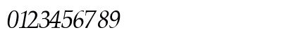 PalatinoR Italic Numeric Preview