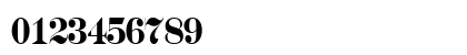 a_SeriferNrCps Bold Numeric Preview